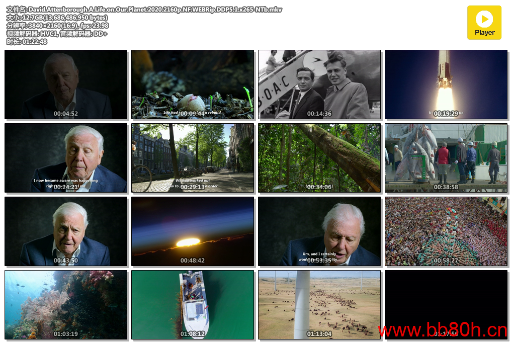 [大卫·爱登堡：地球上的一段生命旅程][David Attenborough: A Life on Our Planet][2020年][英语][简字][无水印][高码收藏版][阿里云][884]