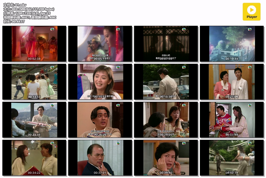 [前世冤家][The Trail of Love][1995年][国语][繁字][全20集][无水印][高码收藏版][123盘0][2024050602]