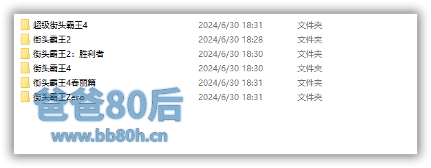 [怀旧动画补全计划][街头霸王全集][1995年][日语][简字][123盘0][2024063001]