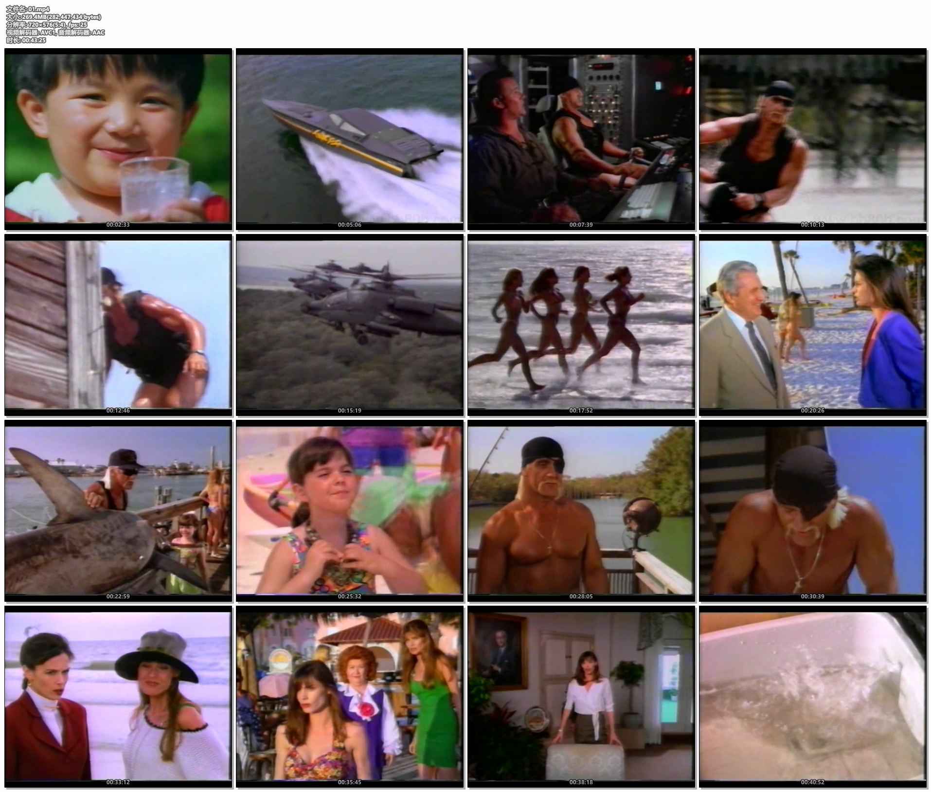 [绝版][天堂的雷霆][执法风云][One West Waikiki][1994][国语][全19集][录像带转录][123盘0][2025070401]